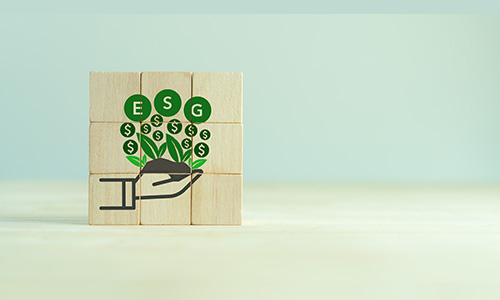 ESG